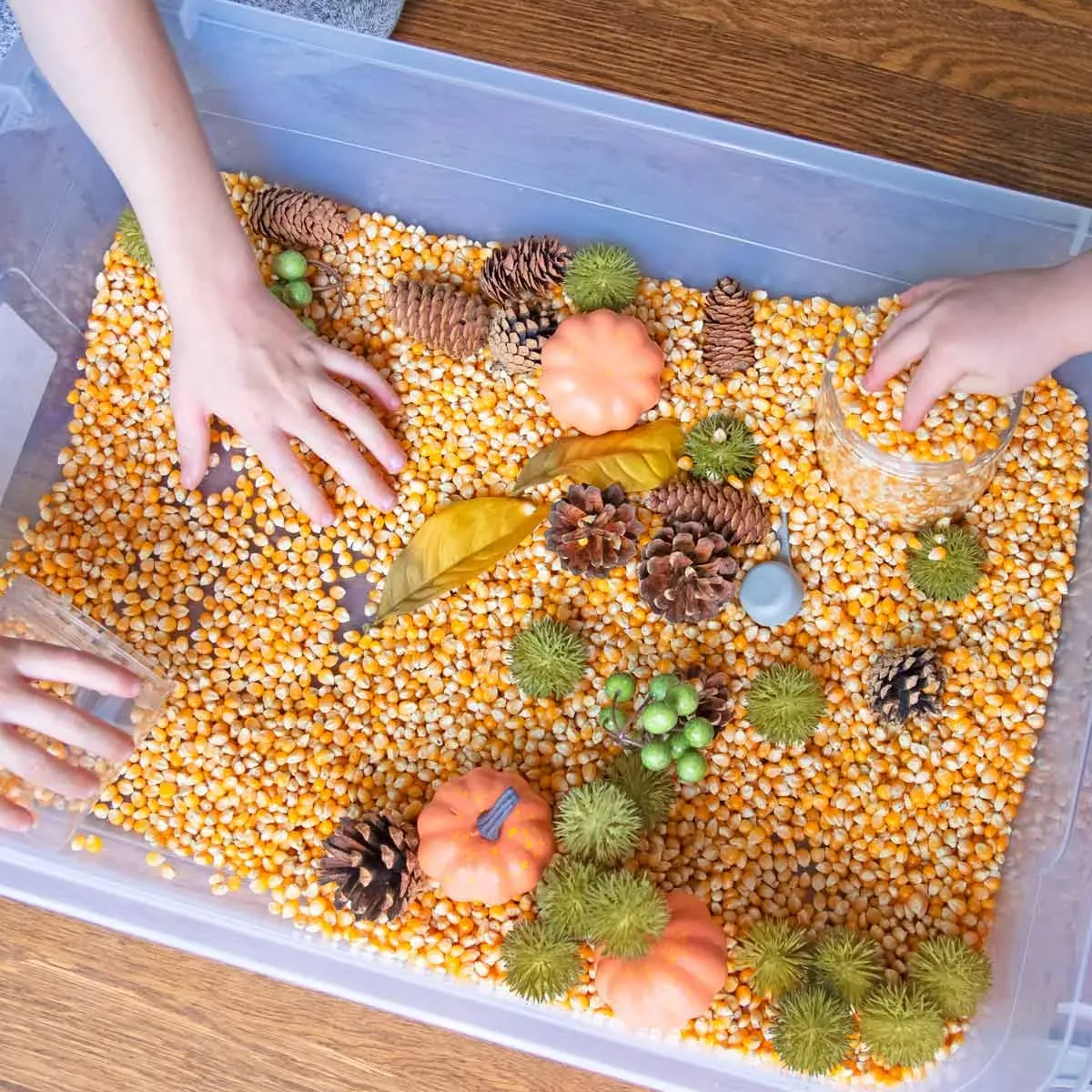 8 Easy Autumn Sensory Bin Ideas for Toddlers & Preschoolers