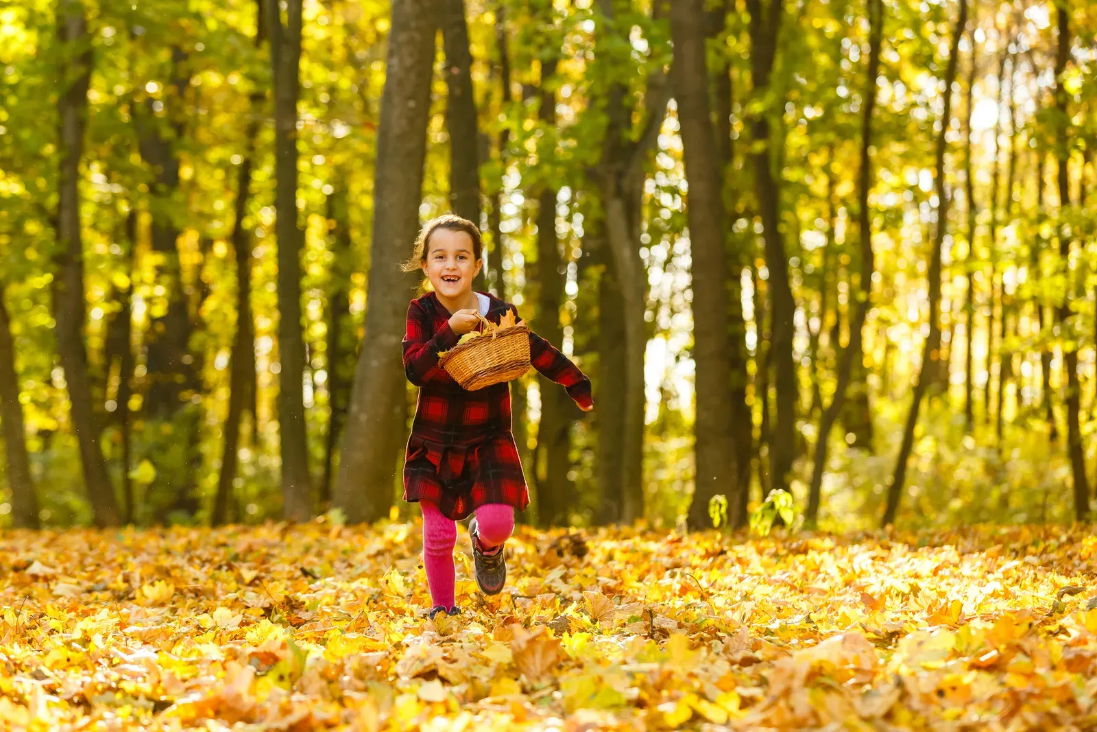 Fun Autumn Sensory Activities for Preschoolers