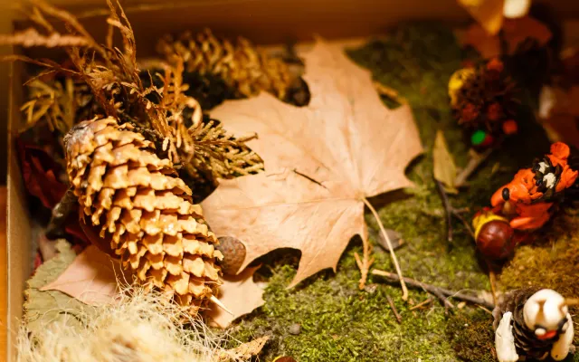 8 Easy Autumn Sensory Bin Ideas for Toddlers & Preschoolers