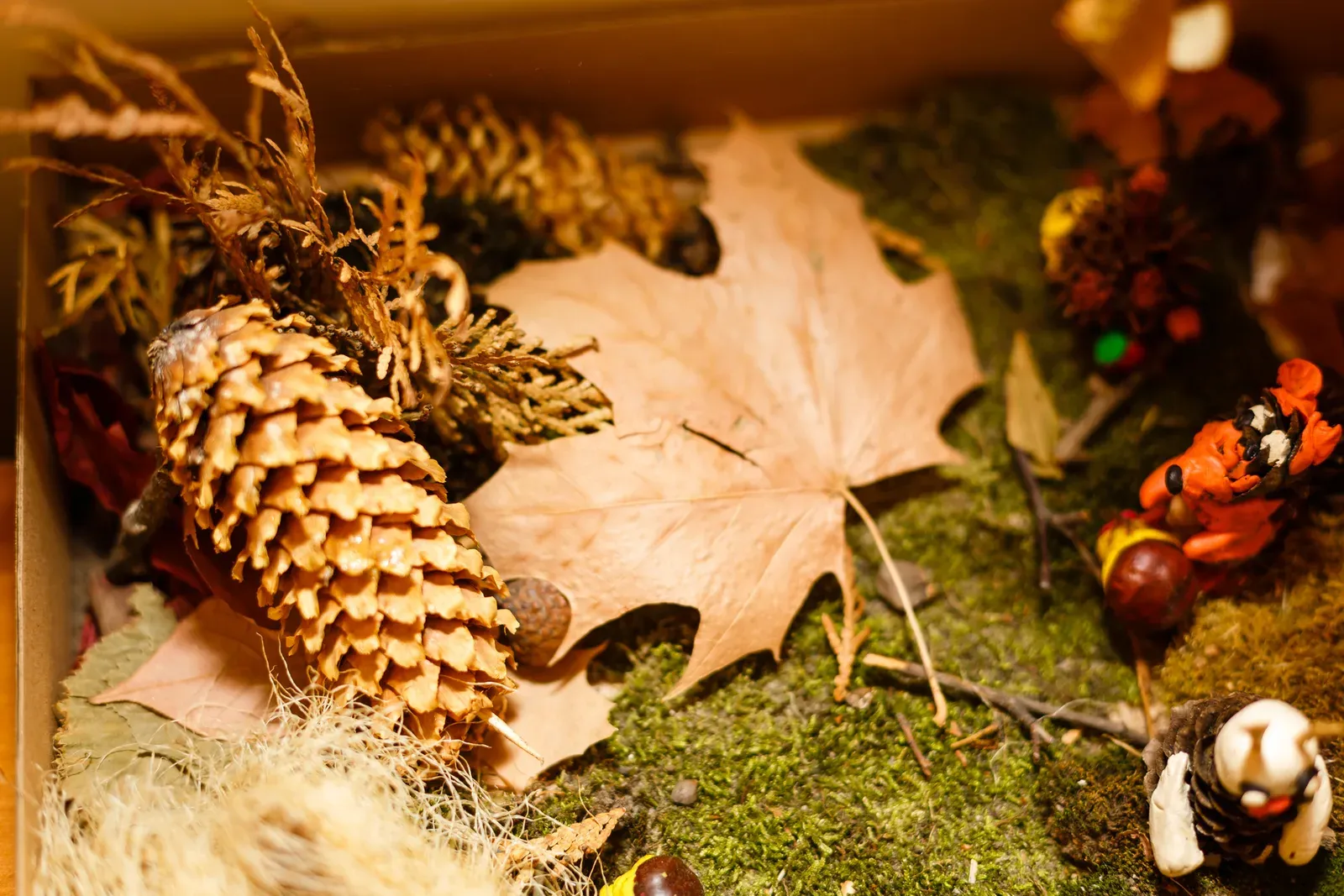 8 Easy Autumn Sensory Bin Ideas for Toddlers & Preschoolers