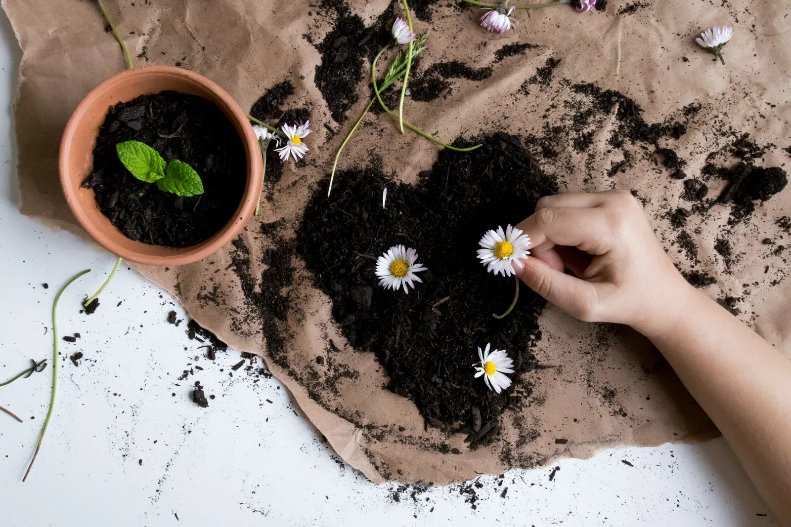 spring sensory bin for toddlers and preschoolers