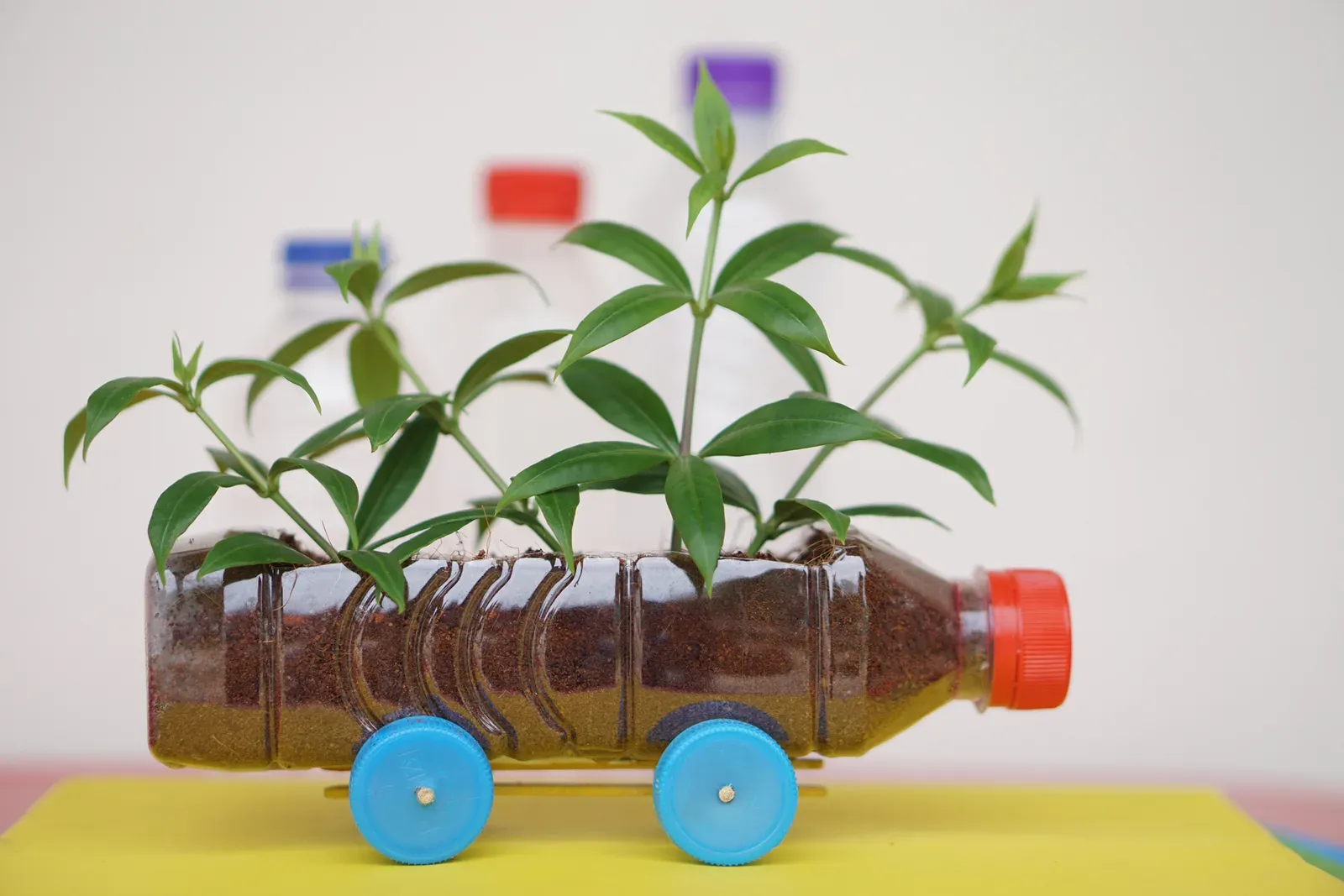 Fun and Educational Earth Day Activities for Preschoolers and Daycare