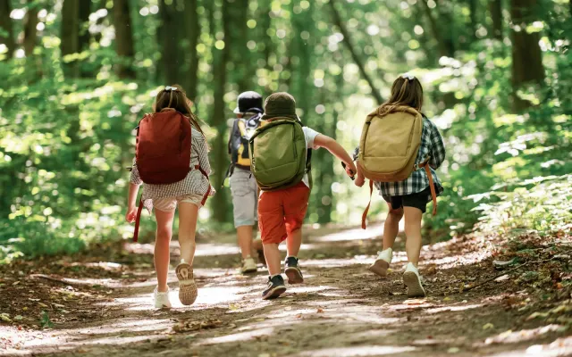 How to Plan a Safe and Successful Daycare Field Trip: A Complete Checklist
