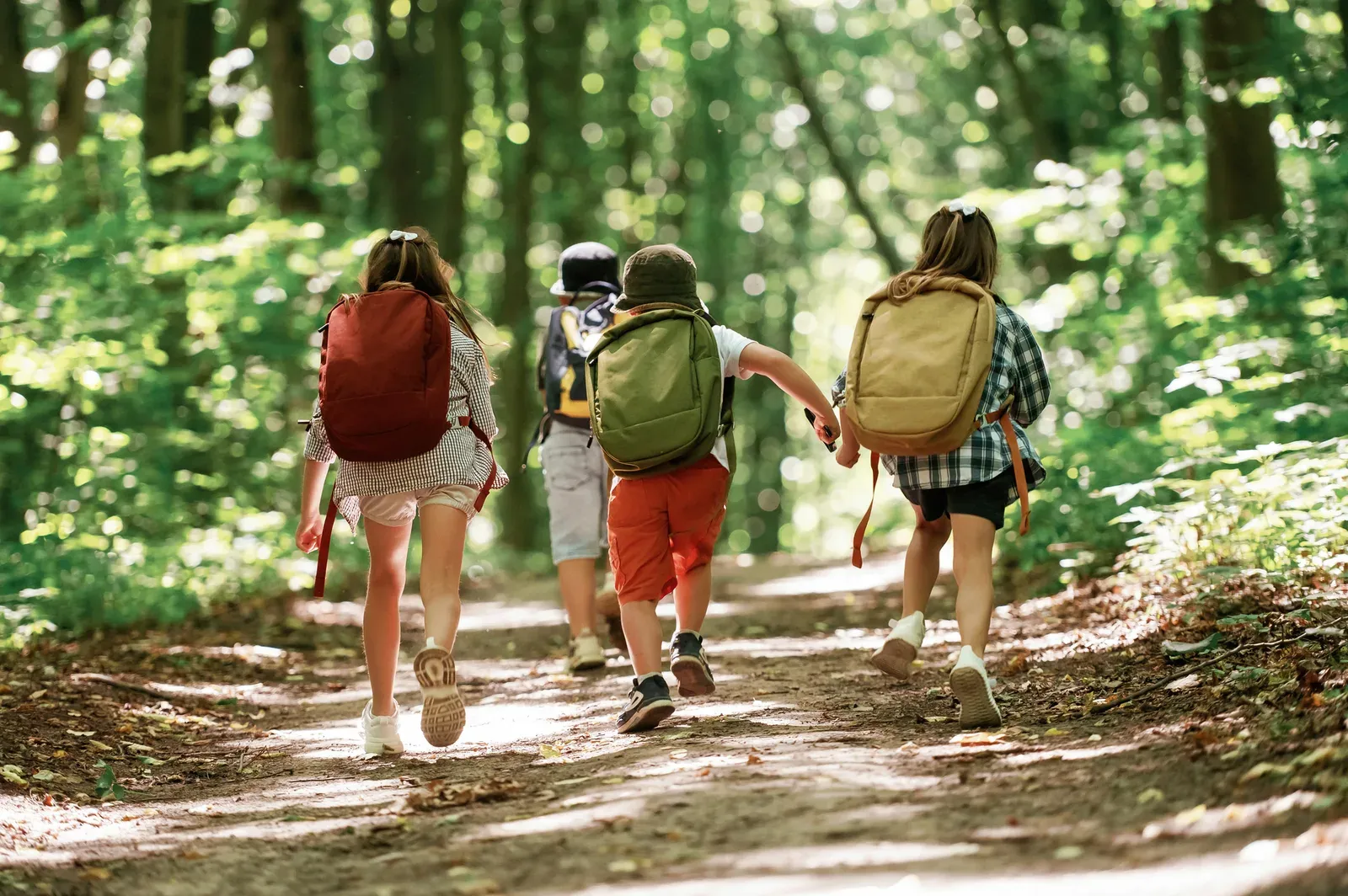 how to plan a daycare field trip