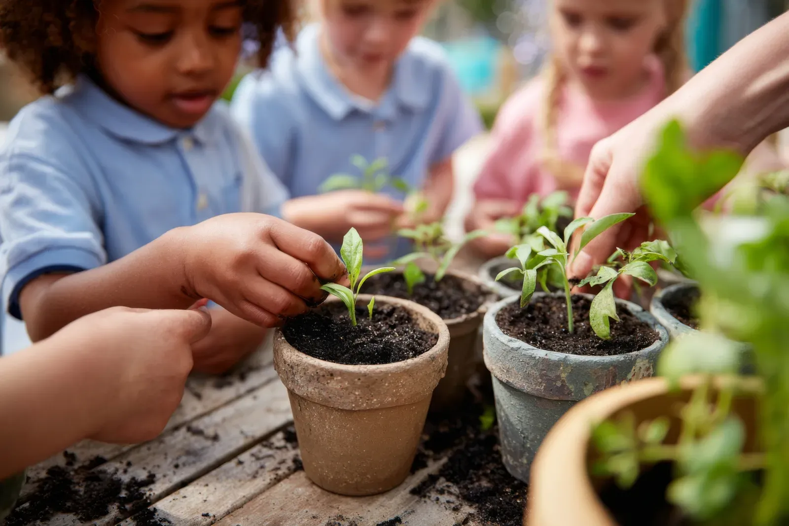 Engaging Preschool Science Activities