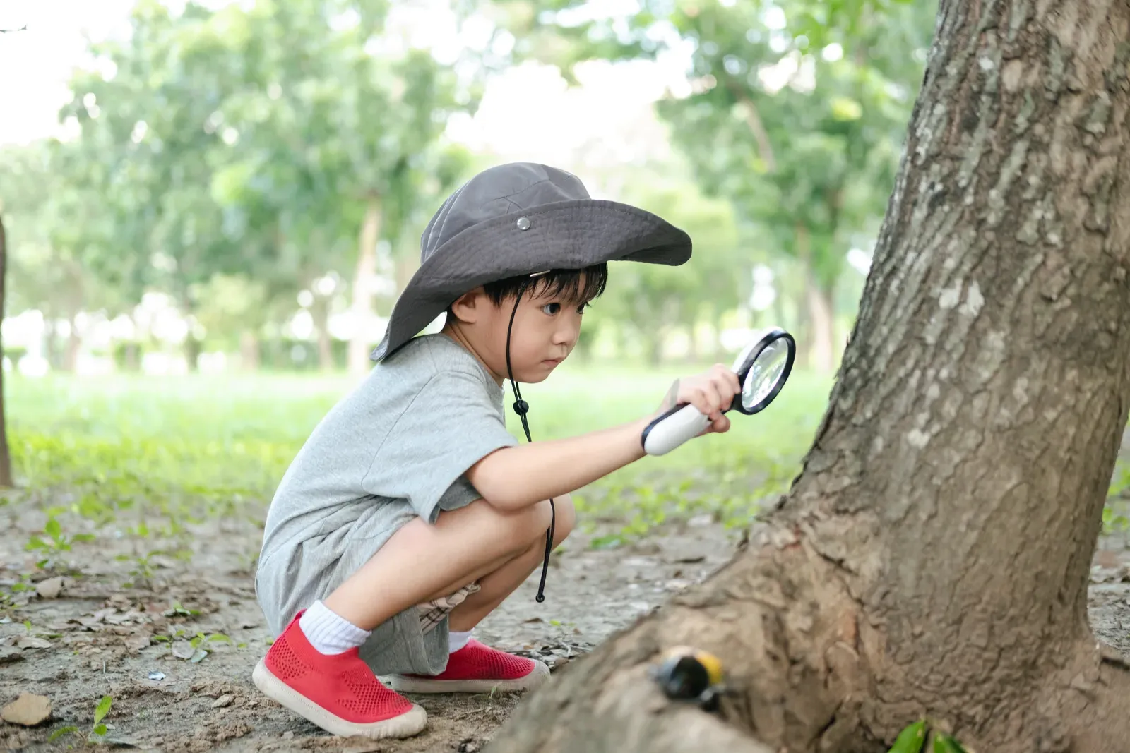summer camp themes for daycare