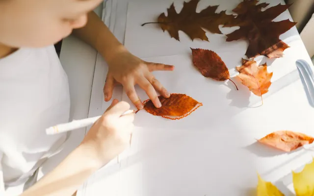 Fun & Engaging STEAM Activities for Preschoolers