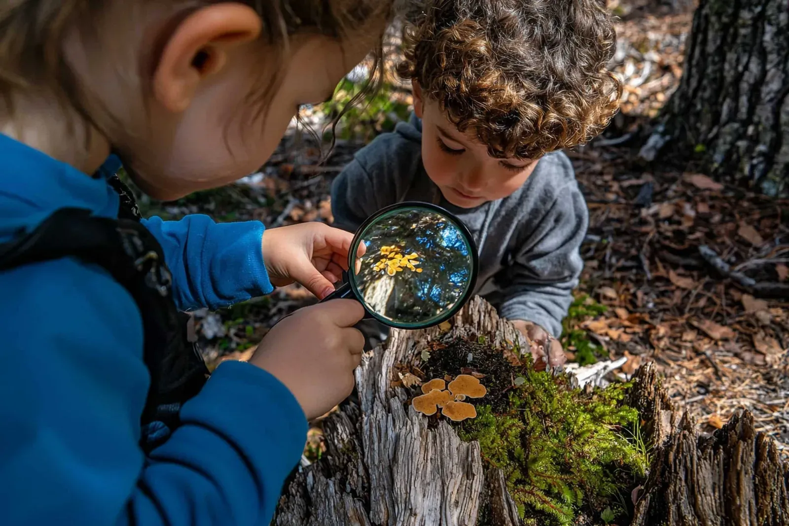 outdoor activities for preschoolers