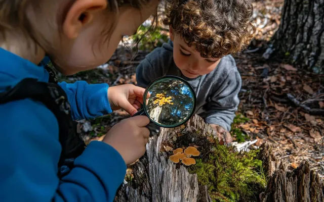 Fun and Engaging Outdoor Activities for Preschoolers