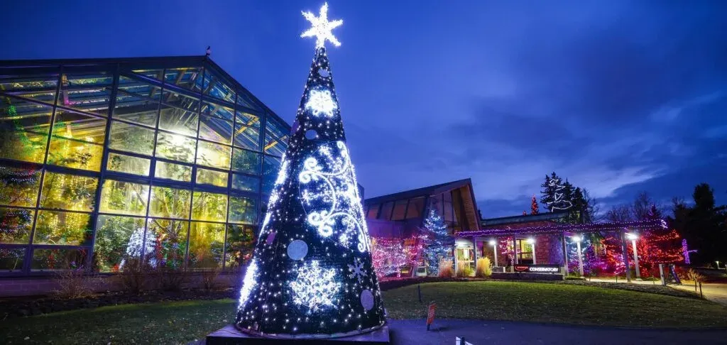 Calgary Zoo Lights Christmas tree and decor