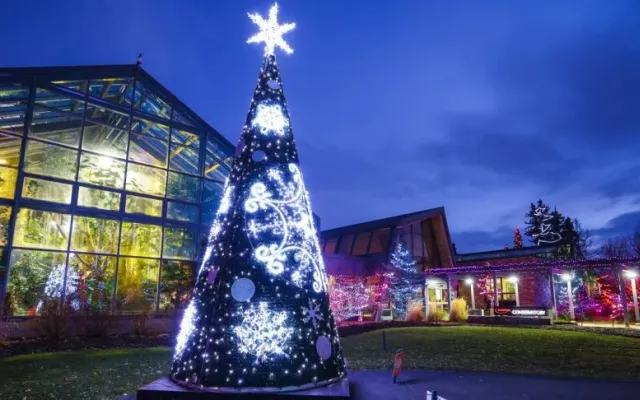Calgary Zoo Lights and Holiday Outings for Alberta Daycares