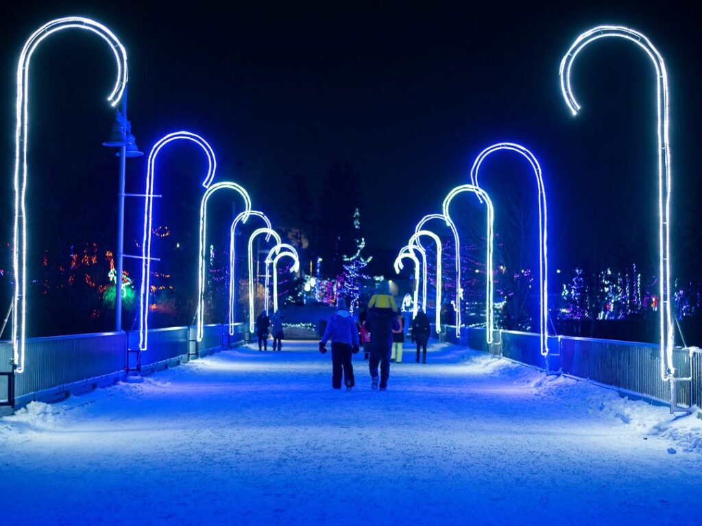 Calgary Zoo Lights candy cane lights and snow