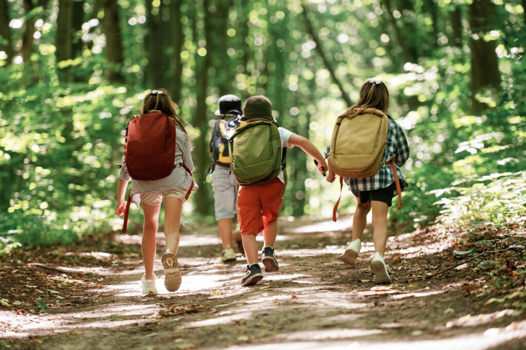 how to plan a daycare field trip